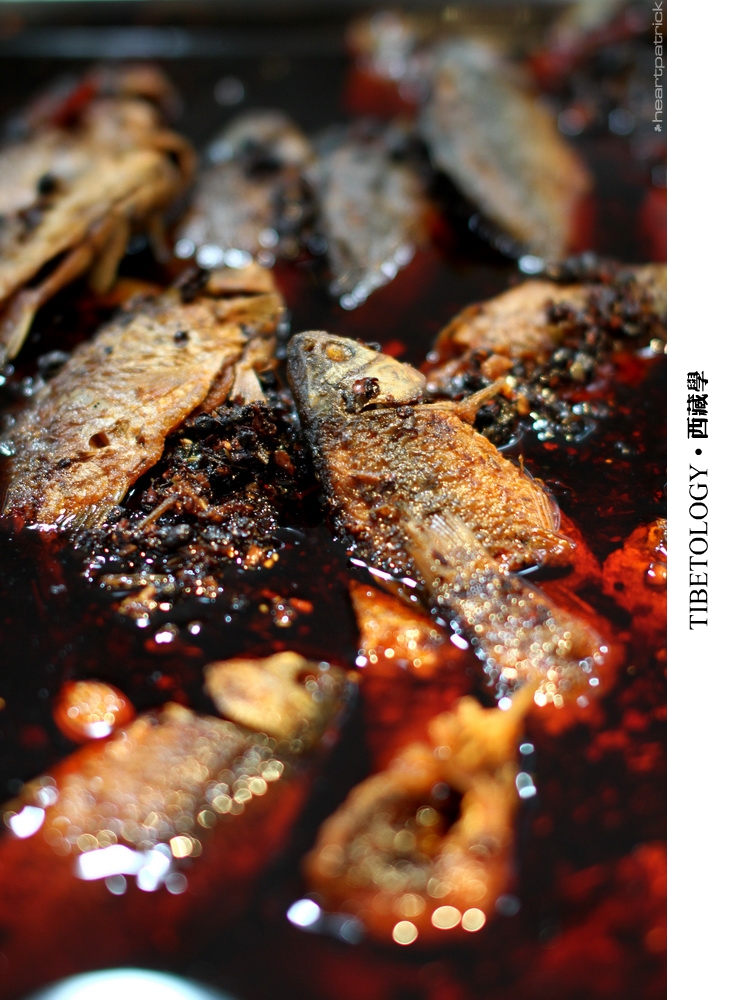 heartpatrick tibet china autumn