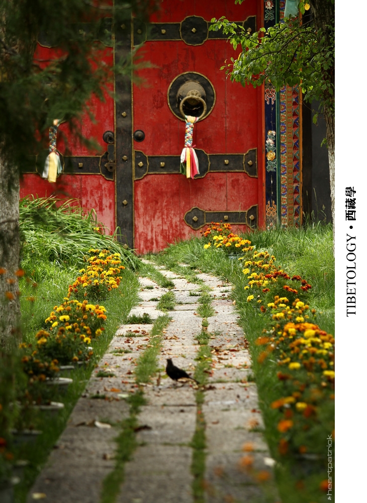 heartpatrick tibet china autumn