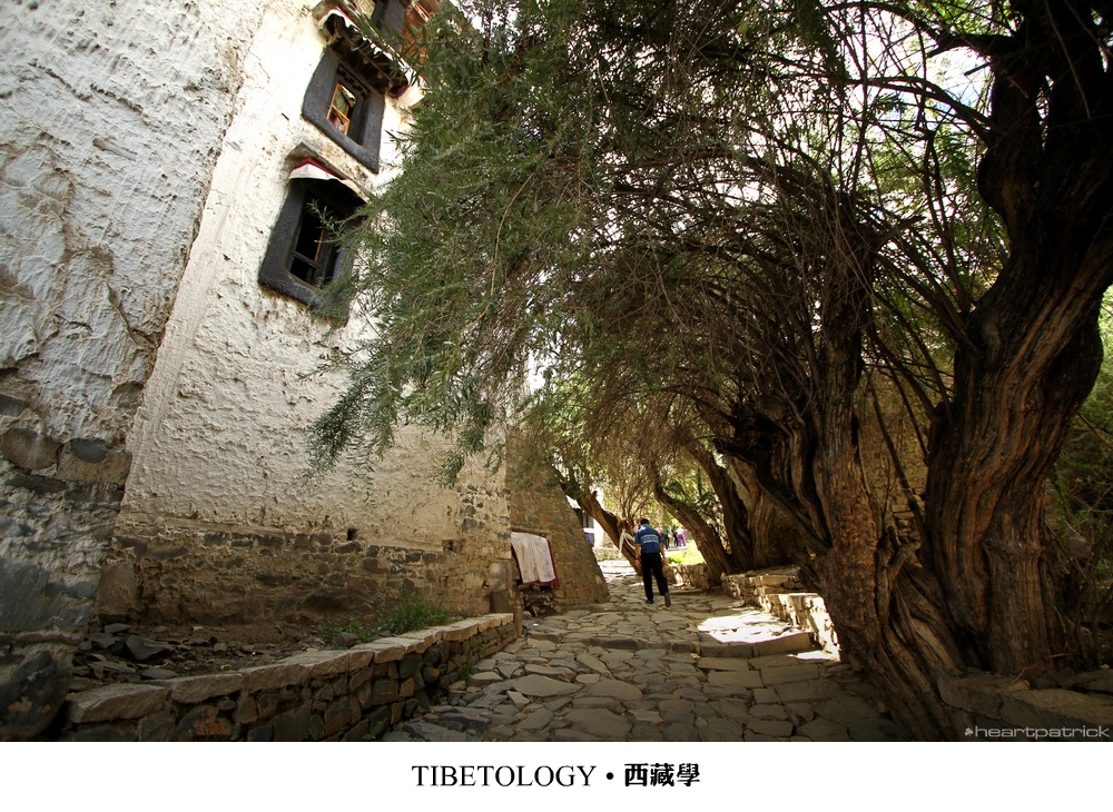 heartpatrick tibet china autumn