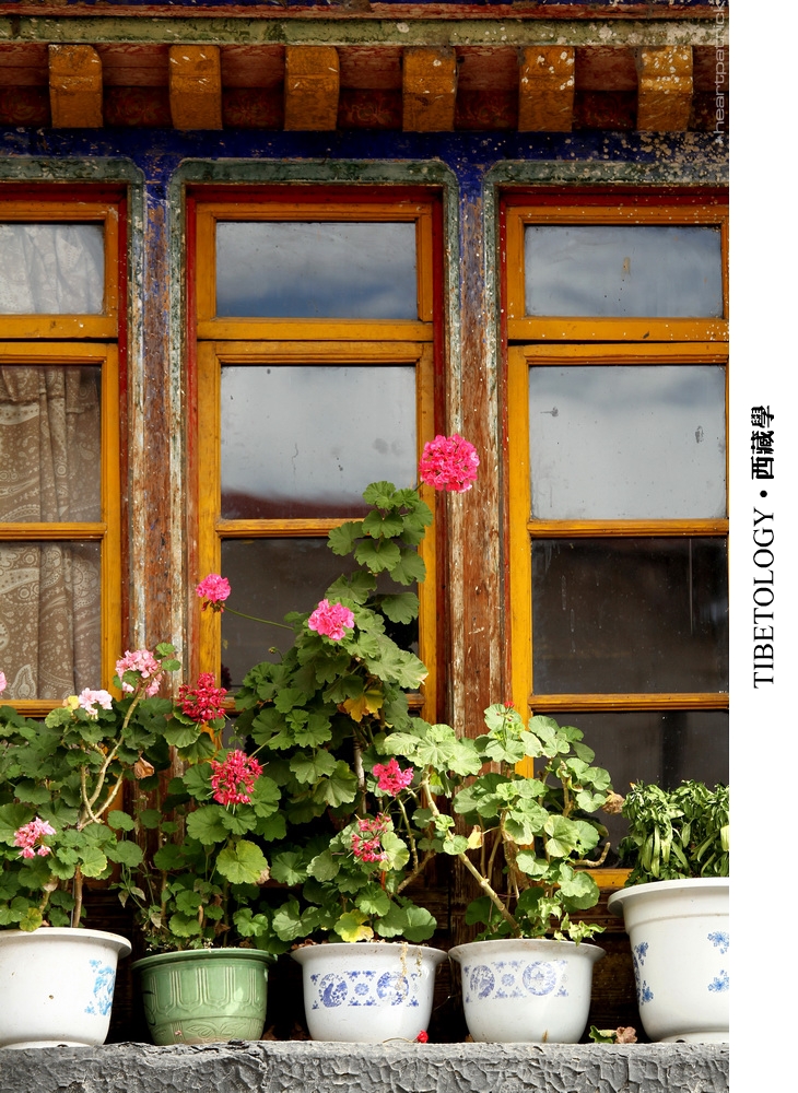 heartpatrick tibet china autumn