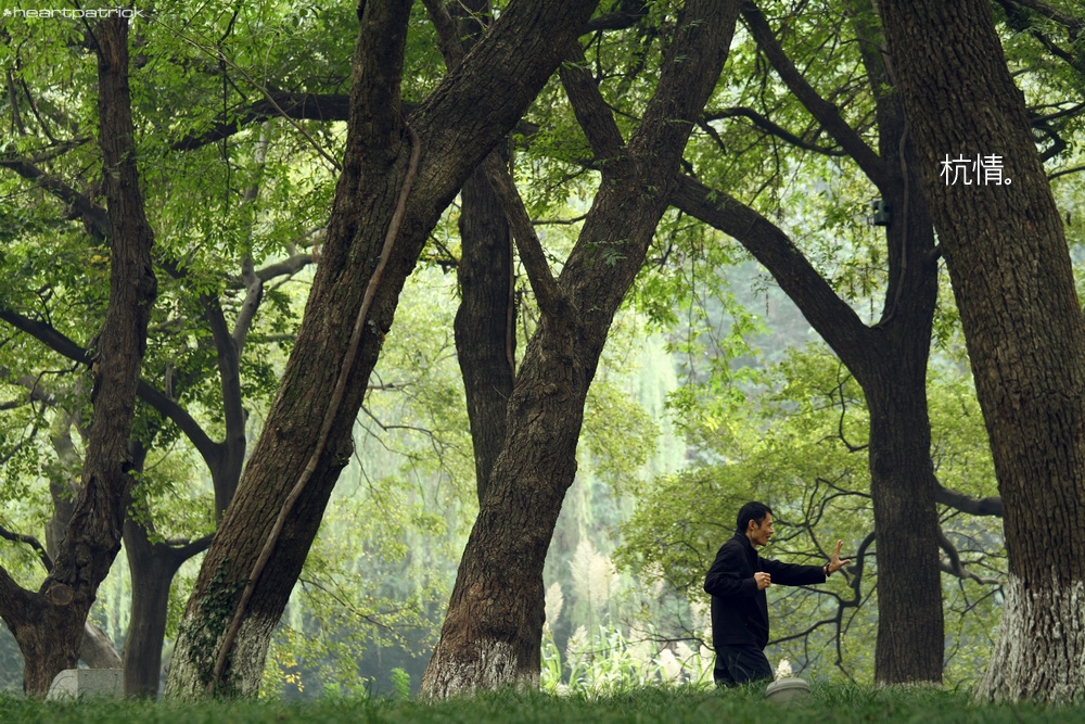 heartpatrick china hangzhou