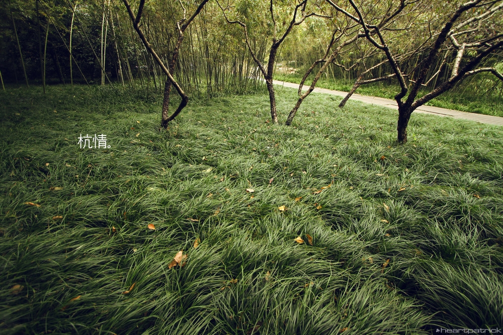 heartpatrick china hangzhou