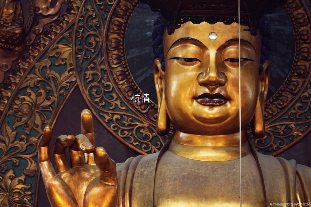 heartpatrick china hangzhou