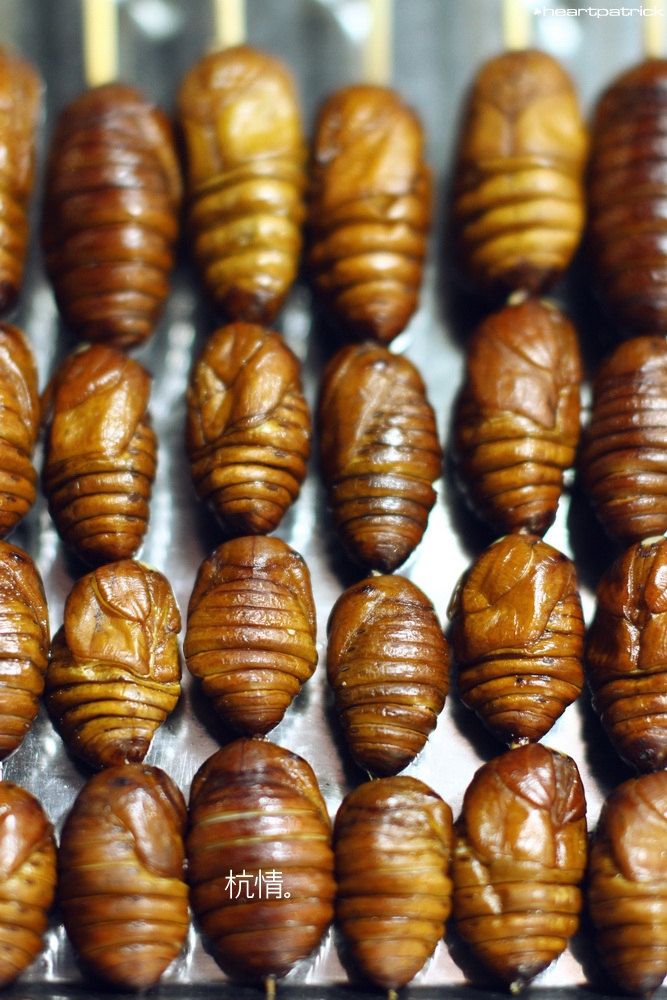 heartpatrick china hangzhou