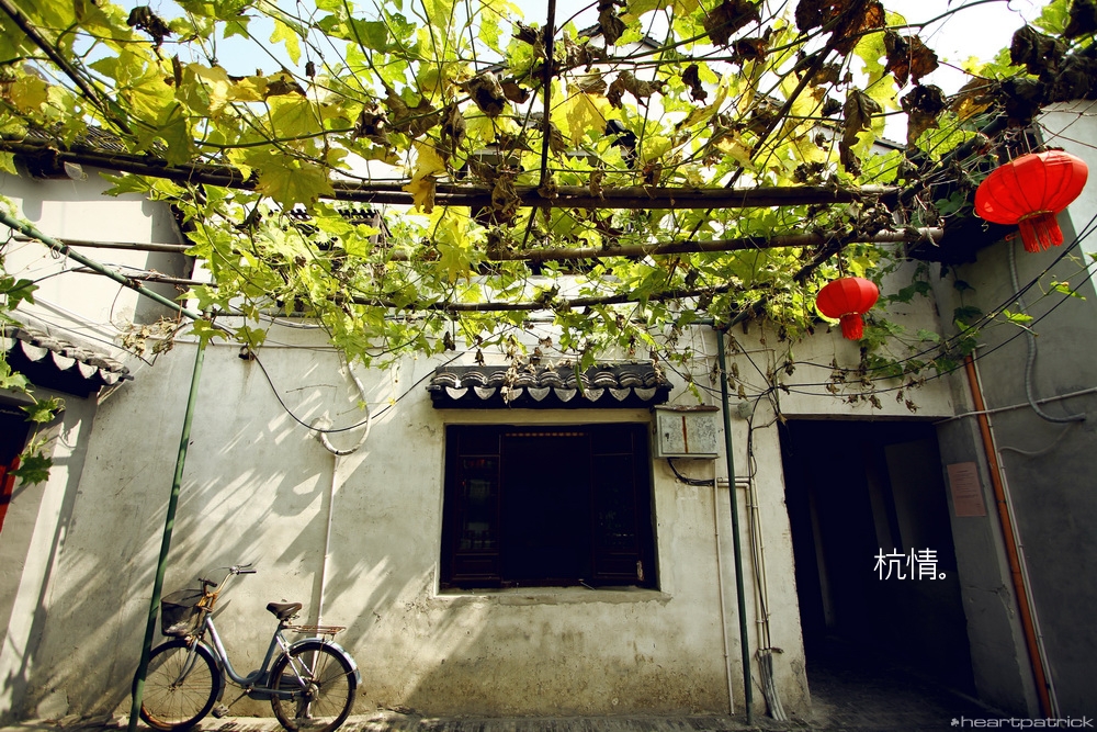 heartpatrick china hangzhou