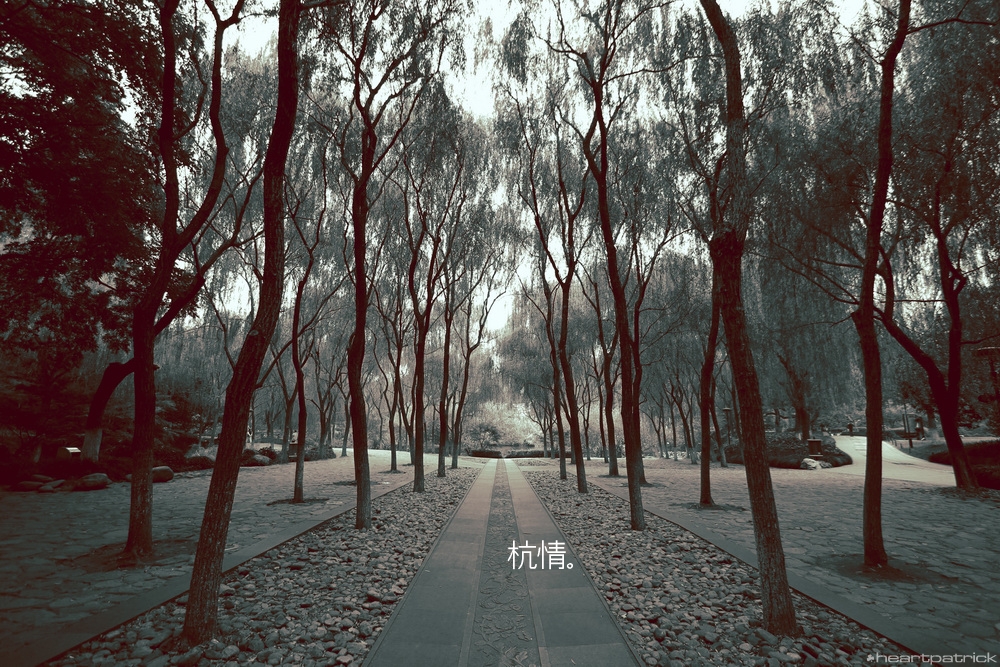 heartpatrick china hangzhou