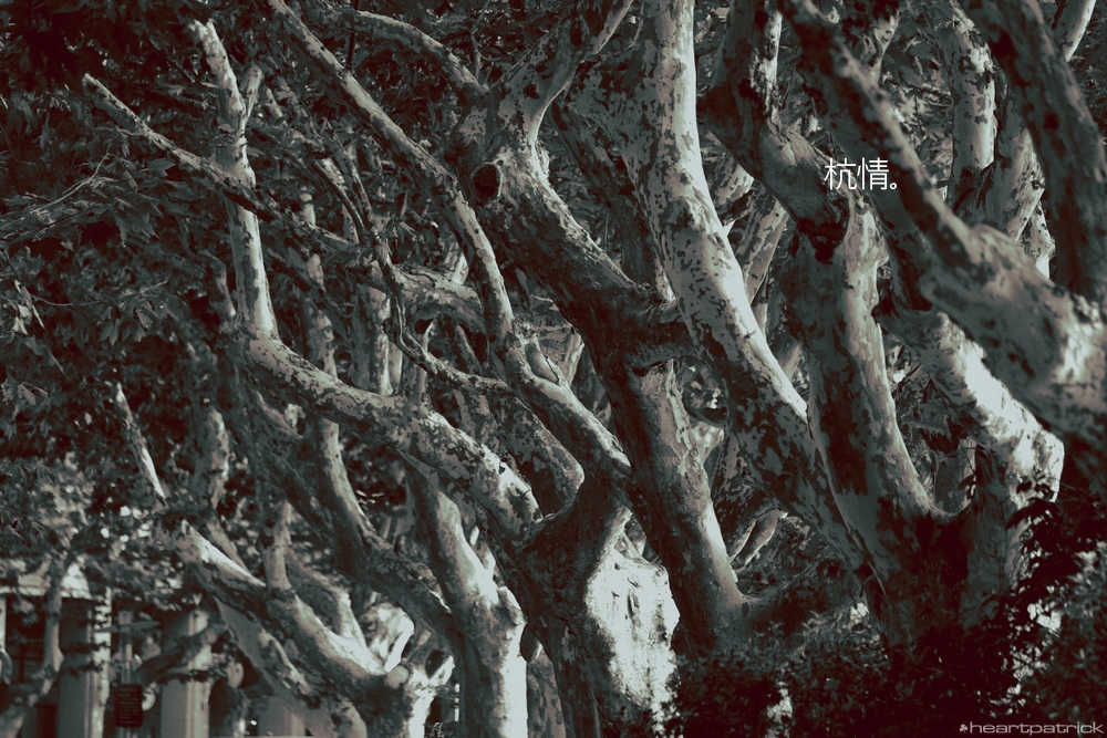 heartpatrick china hangzhou