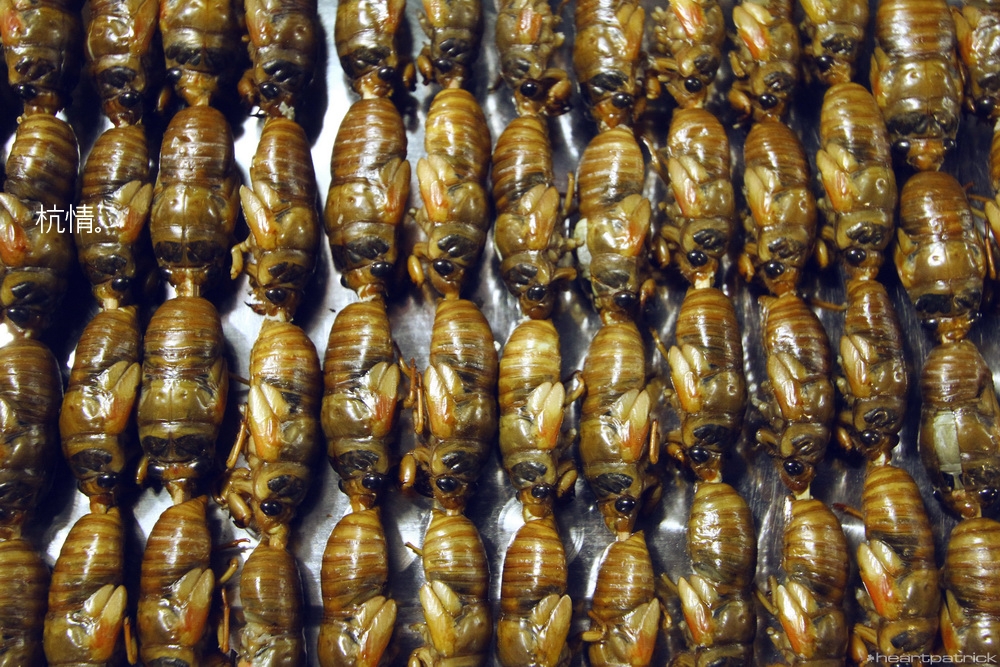 heartpatrick china hangzhou