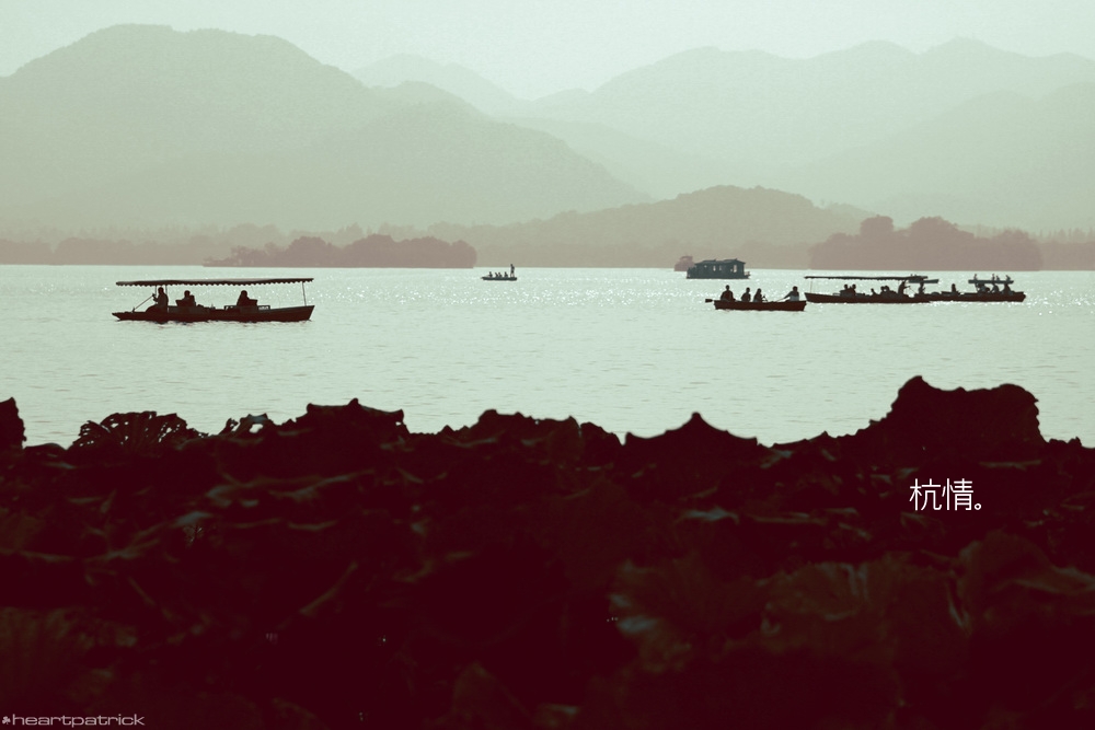 heartpatrick china hangzhou