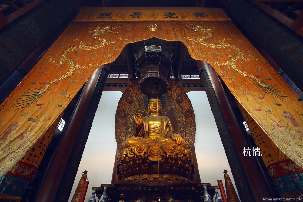 heartpatrick china hangzhou