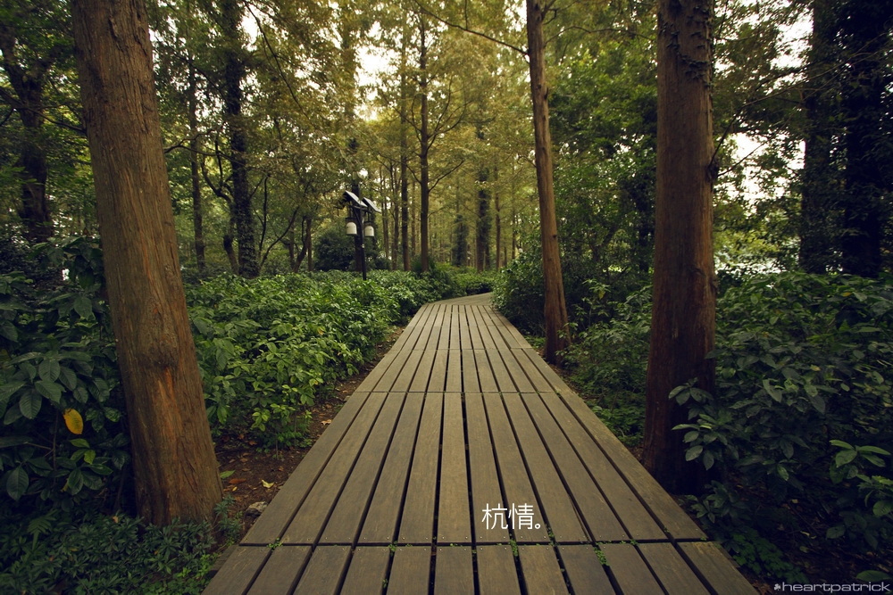 heartpatrick china hangzhou