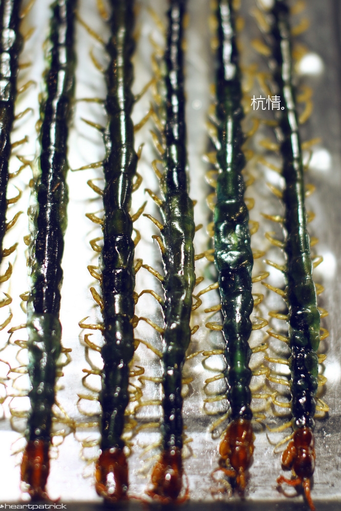 heartpatrick china hangzhou