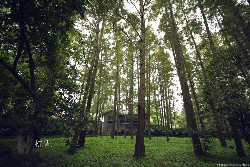 heartpatrick china hangzhou