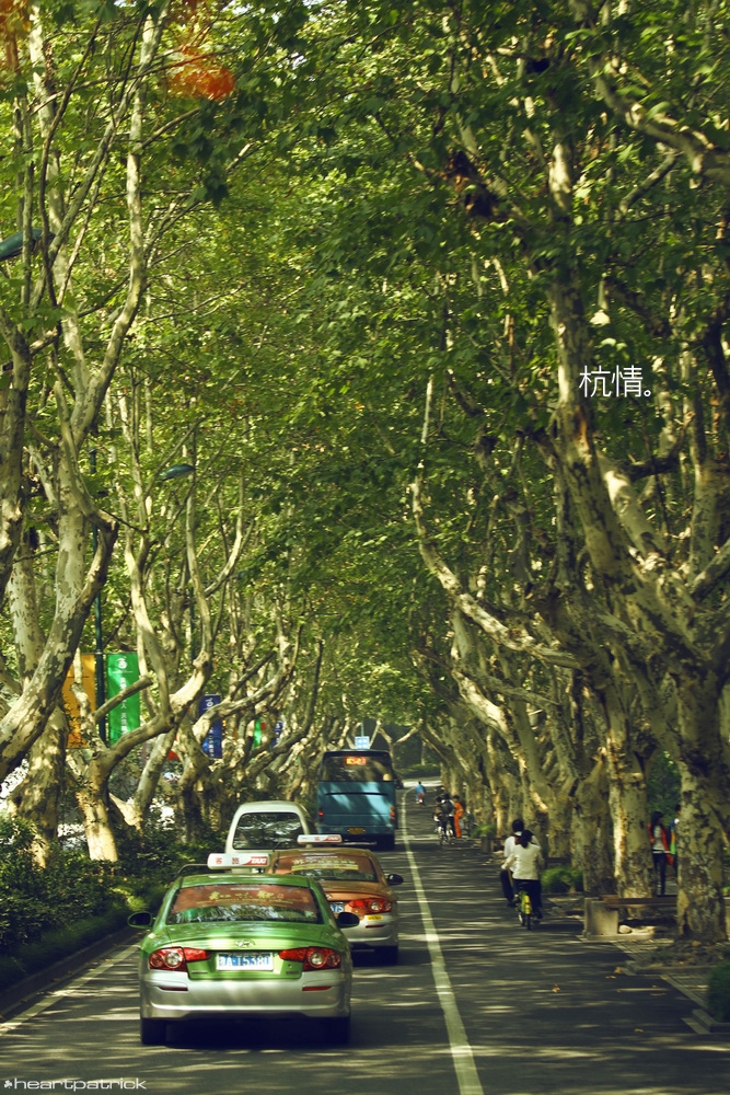 heartpatrick china hangzhou