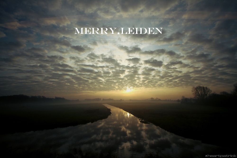 heartpatrick the hague antwerp leiden