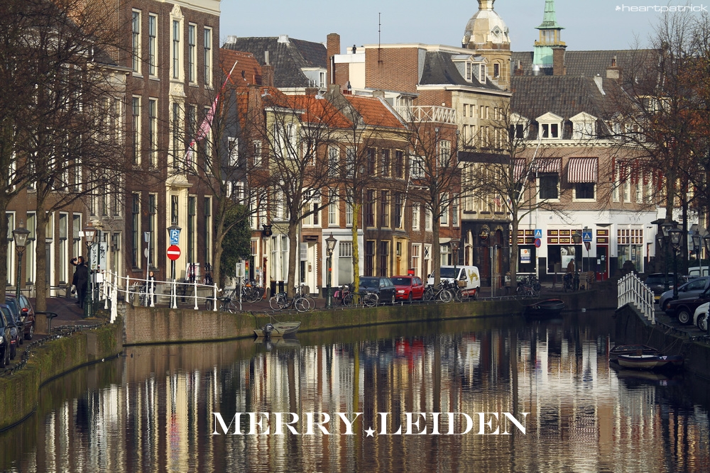 heartpatrick the hague antwerp leiden