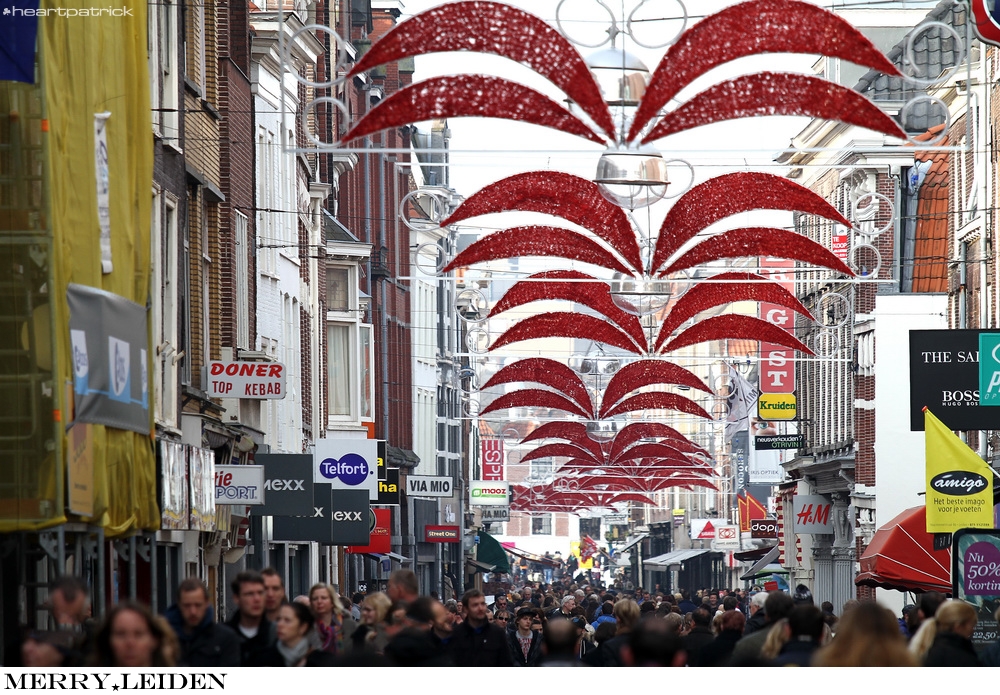 heartpatrick the hague antwerp leiden