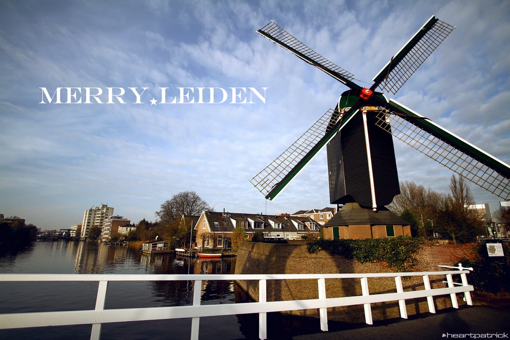 heartpatrick the hague antwerp leiden