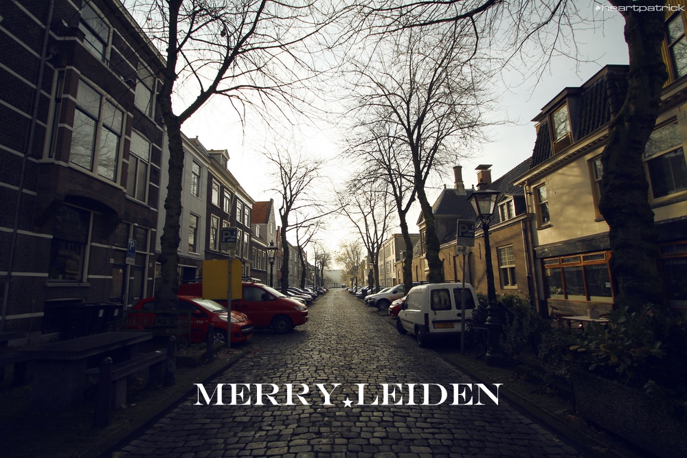 heartpatrick the hague antwerp leiden
