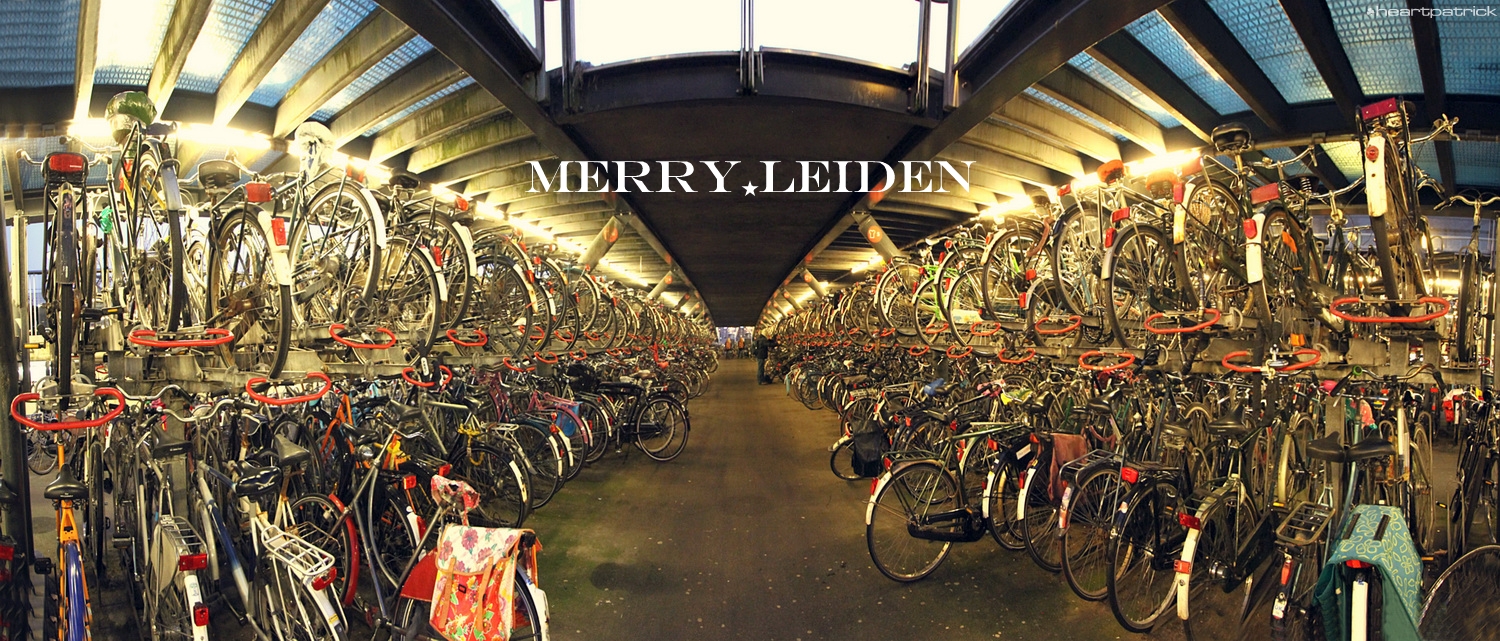 heartpatrick the hague antwerp leiden