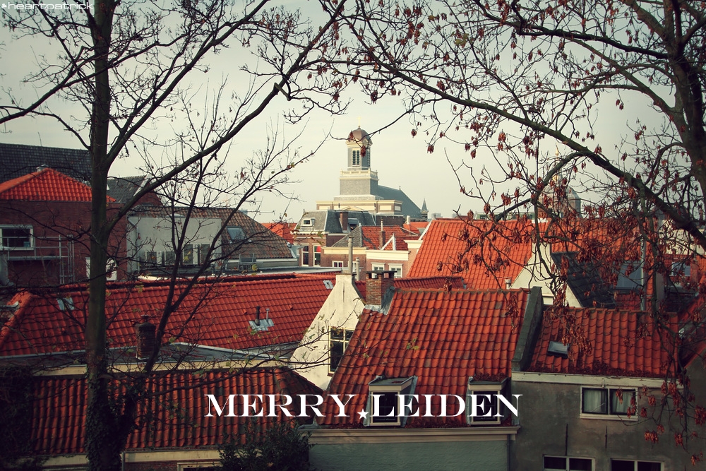 heartpatrick the hague antwerp leiden