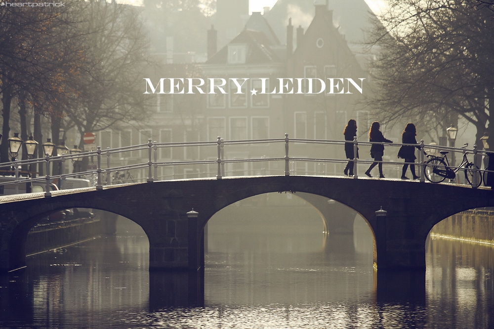 heartpatrick the hague antwerp leiden