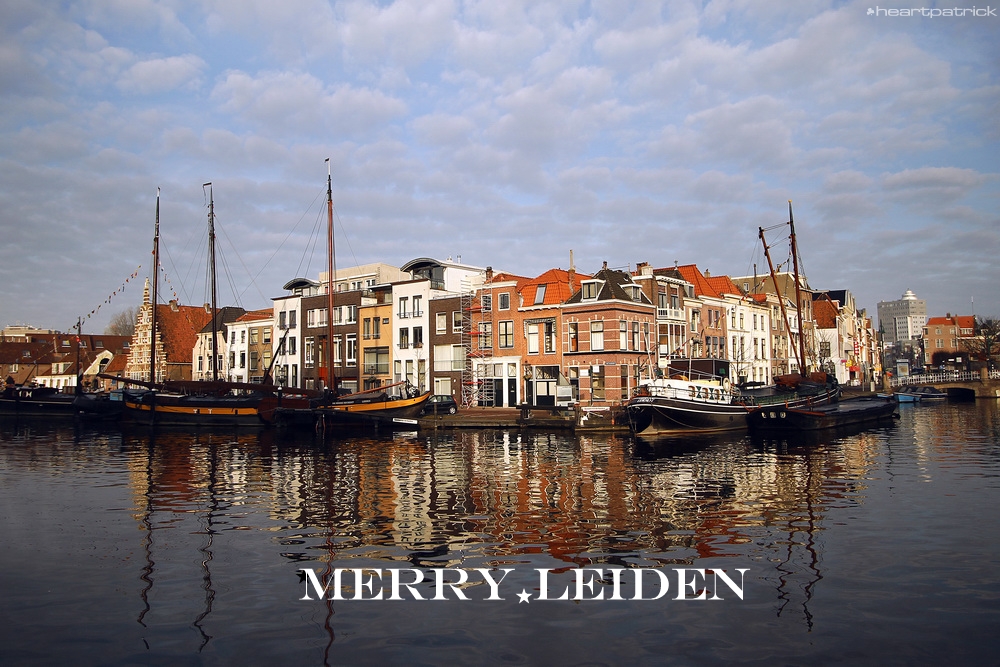 heartpatrick the hague antwerp leiden