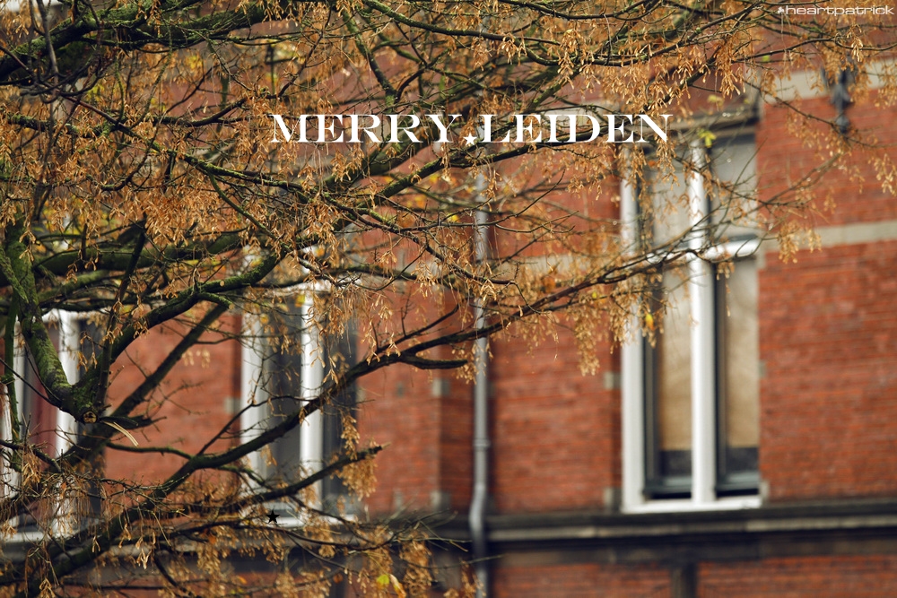 heartpatrick the hague antwerp leiden