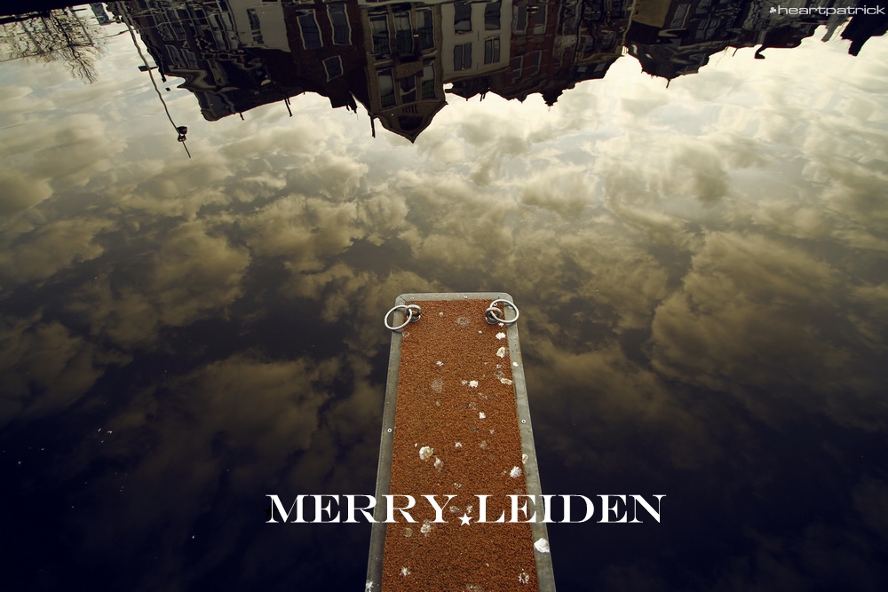 heartpatrick the hague antwerp leiden