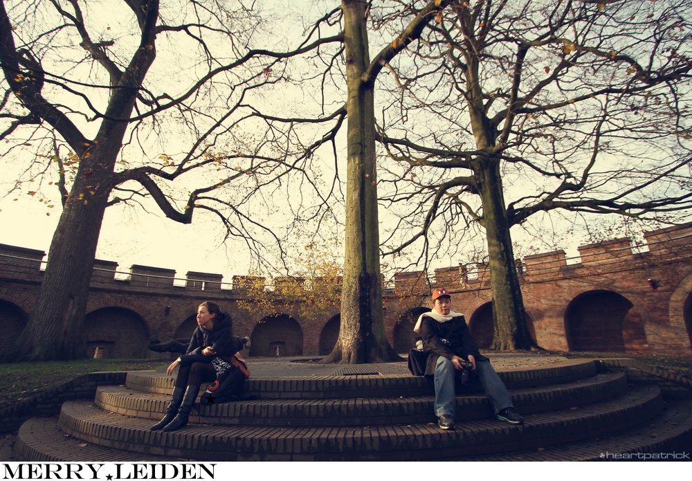 heartpatrick the hague antwerp leiden