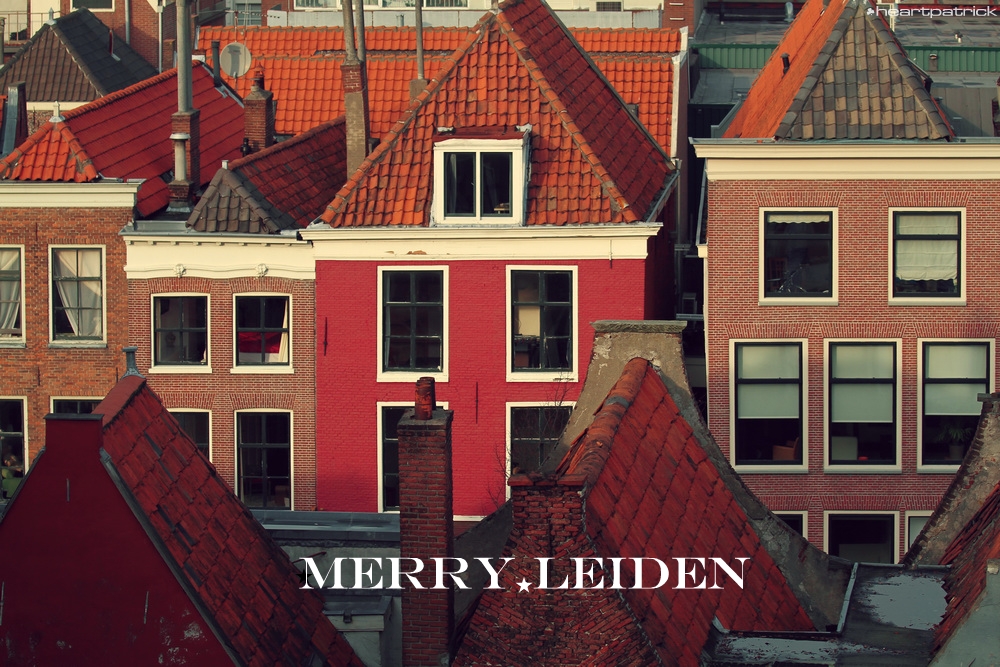 heartpatrick the hague antwerp leiden