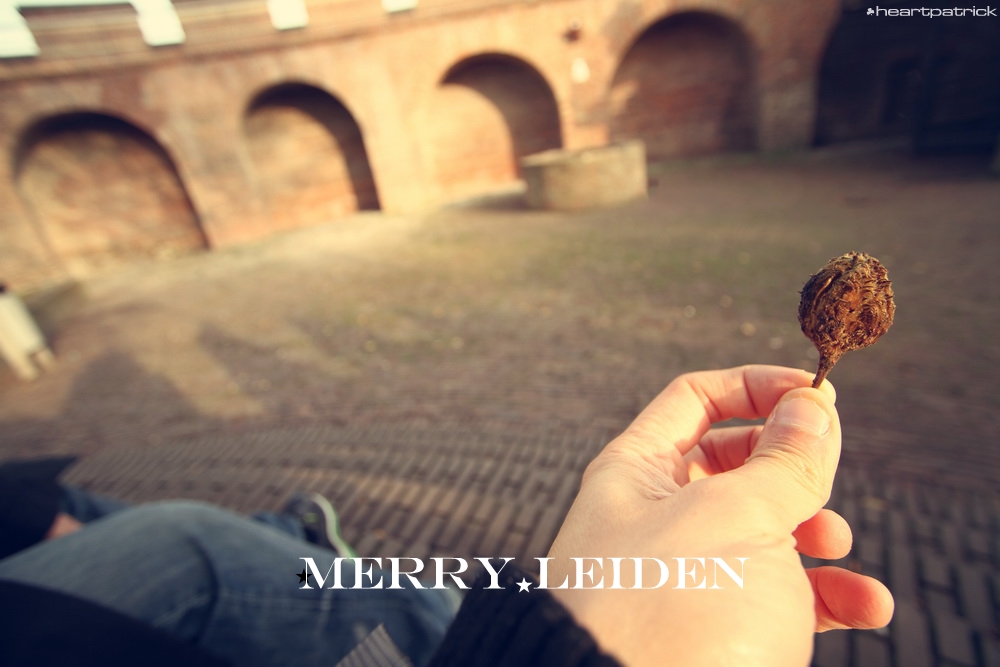 heartpatrick the hague antwerp leiden
