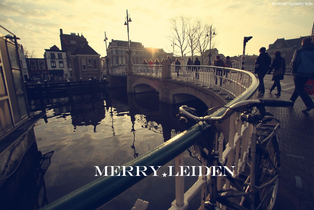 heartpatrick the hague antwerp leiden