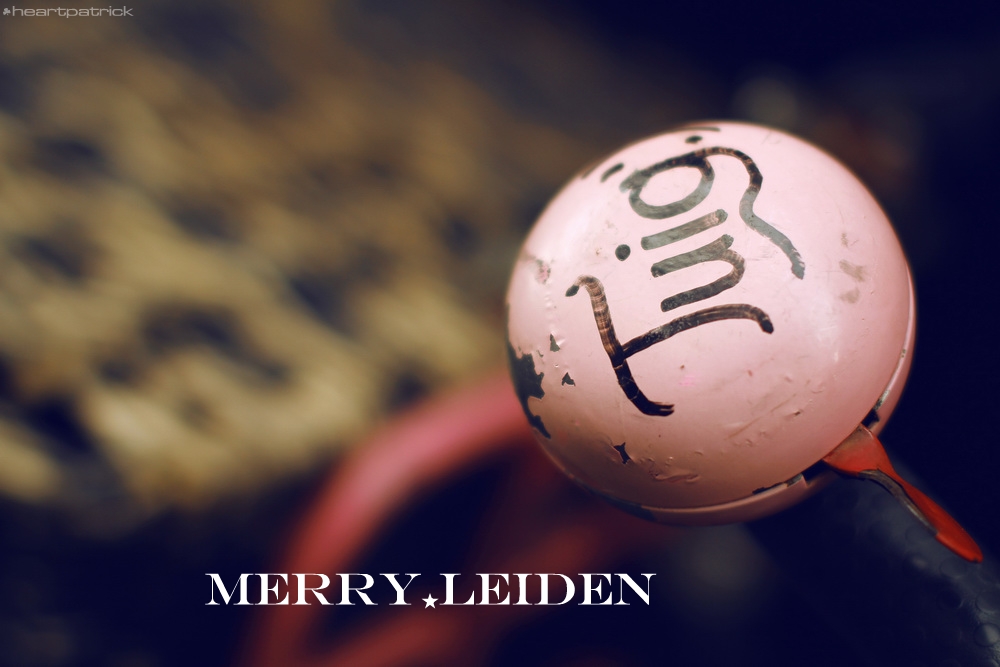 heartpatrick the hague antwerp leiden