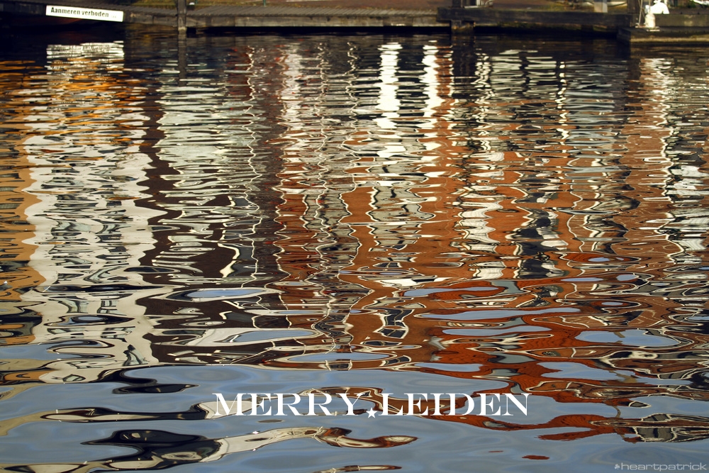 heartpatrick the hague antwerp leiden