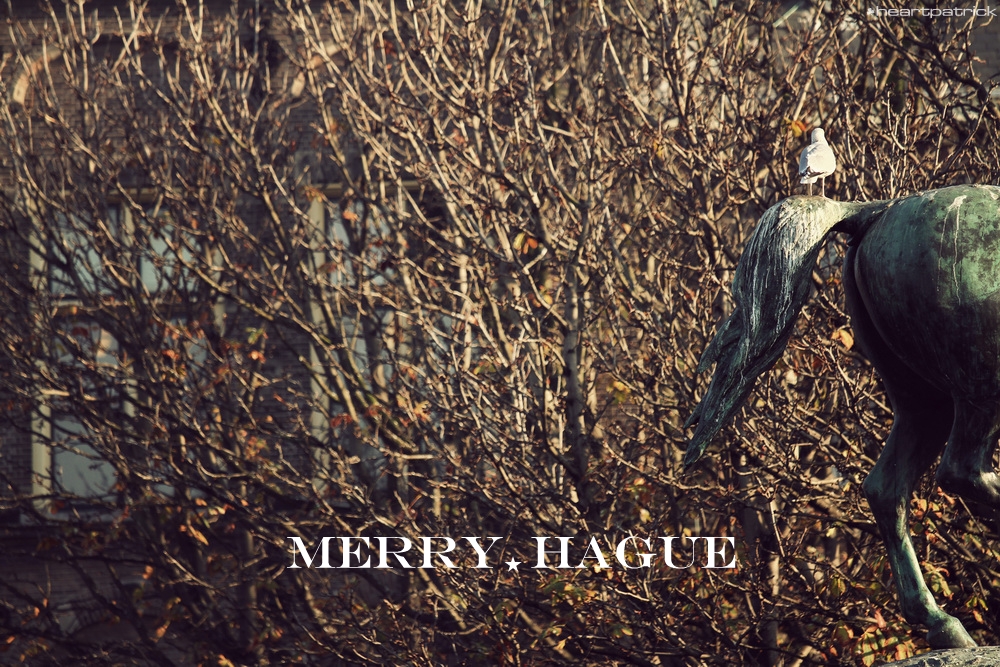 heartpatrick the hague antwerp leiden