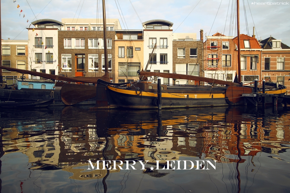 heartpatrick the hague antwerp leiden