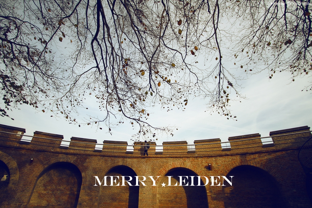 heartpatrick the hague antwerp leiden