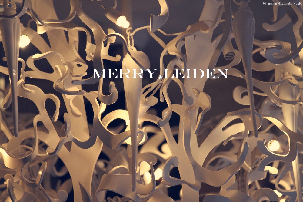 heartpatrick the hague antwerp leiden