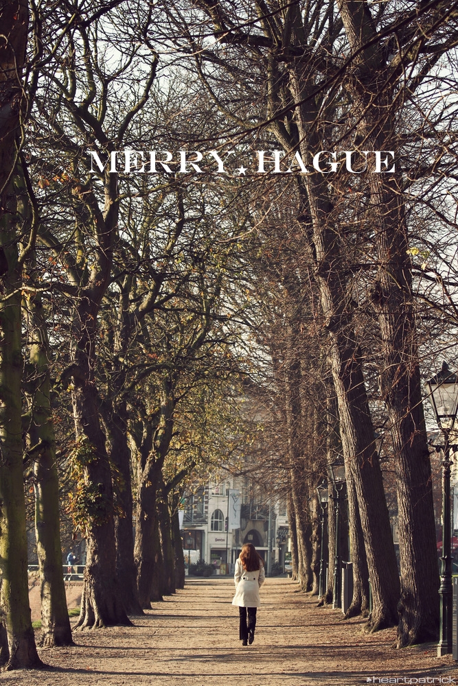 heartpatrick the hague antwerp leiden