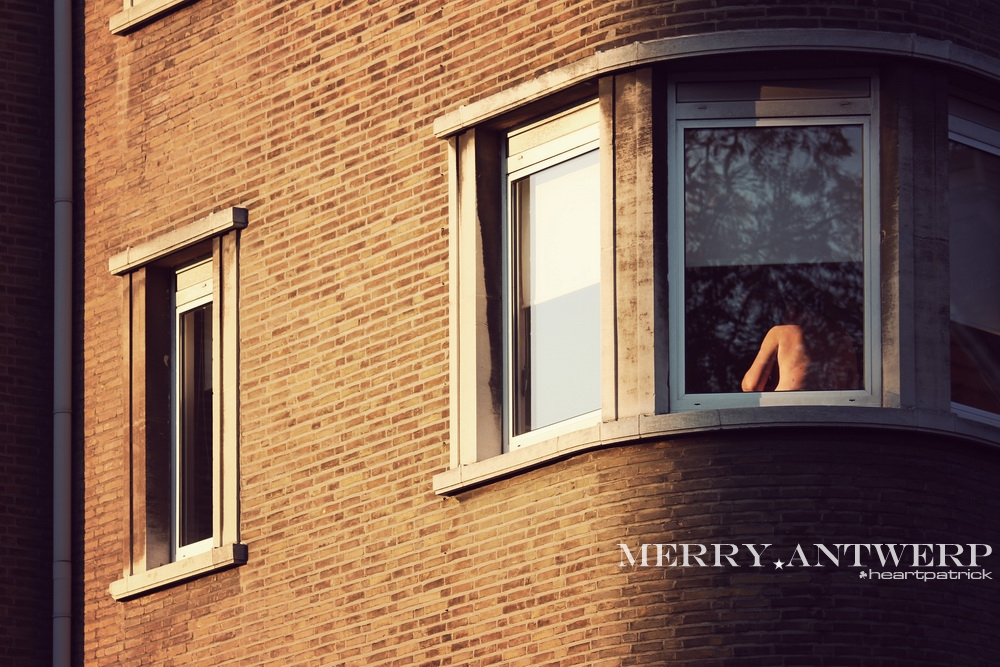 heartpatrick the hague antwerp leiden