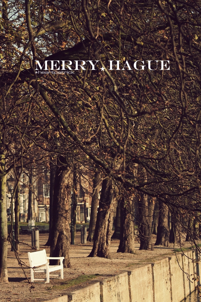 heartpatrick the hague antwerp leiden