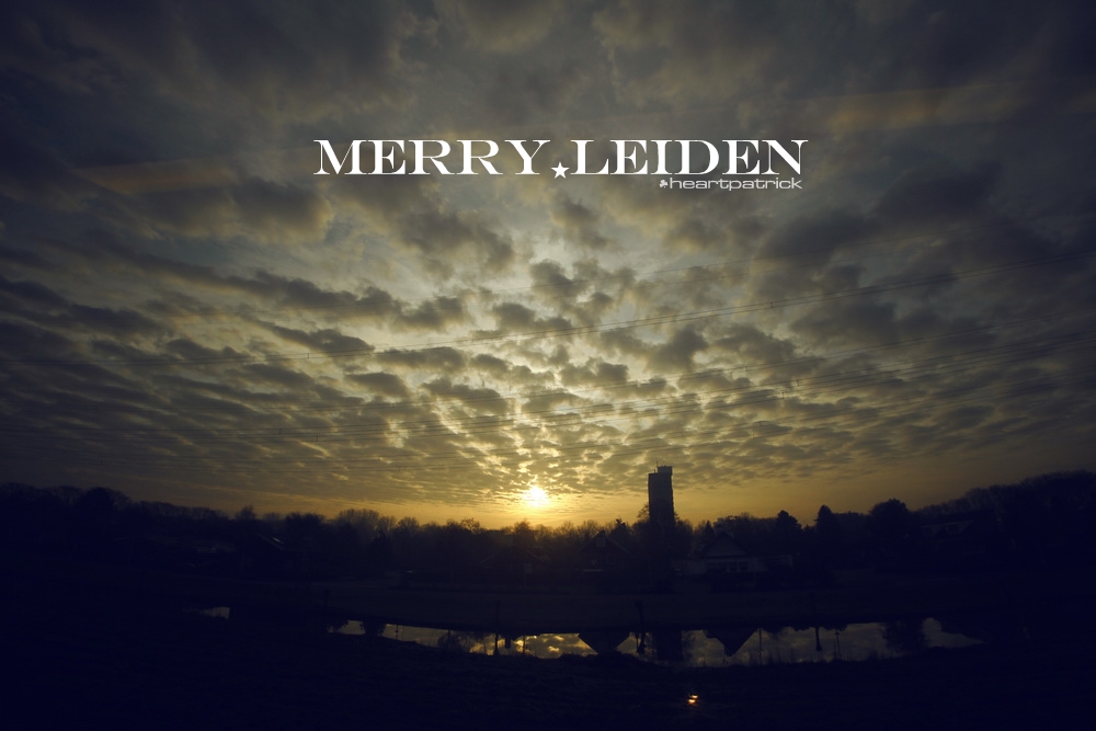 heartpatrick the hague antwerp leiden
