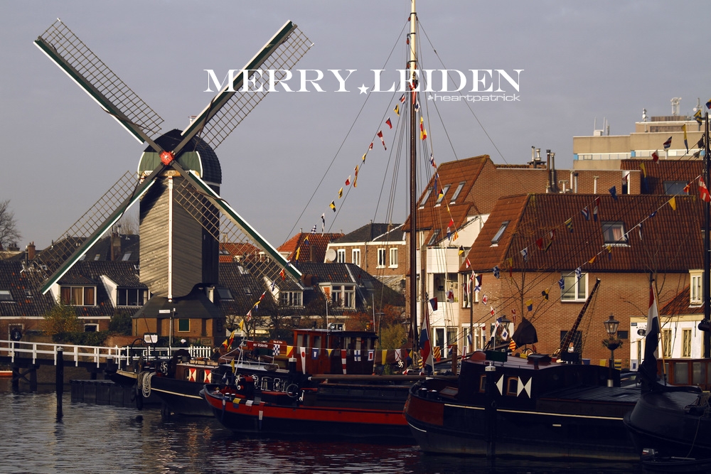 heartpatrick the hague antwerp leiden