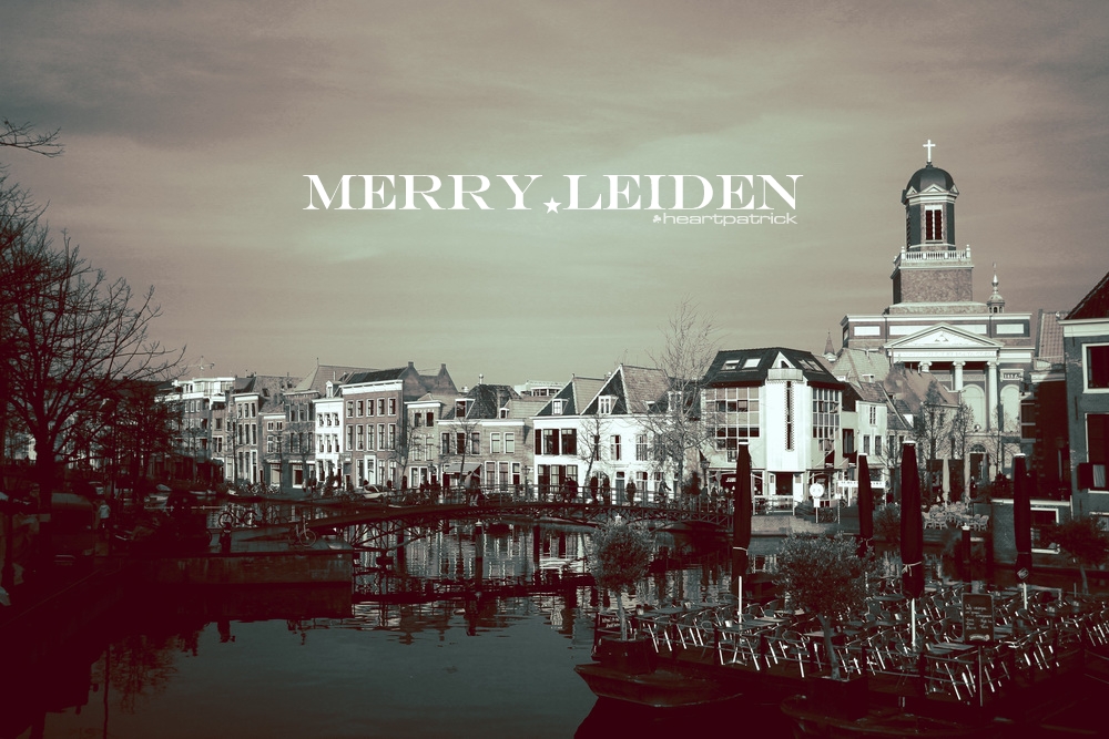heartpatrick the hague antwerp leiden