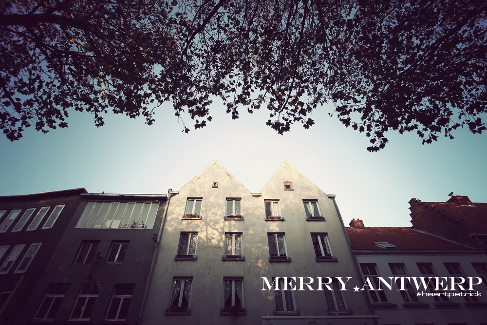 heartpatrick the hague antwerp leiden