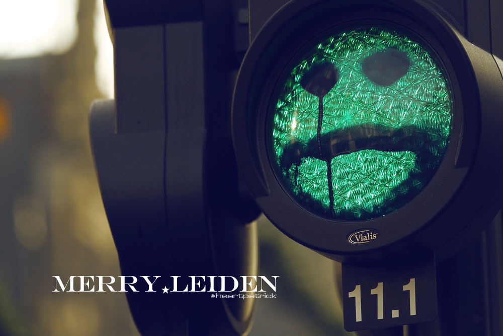 heartpatrick the hague antwerp leiden