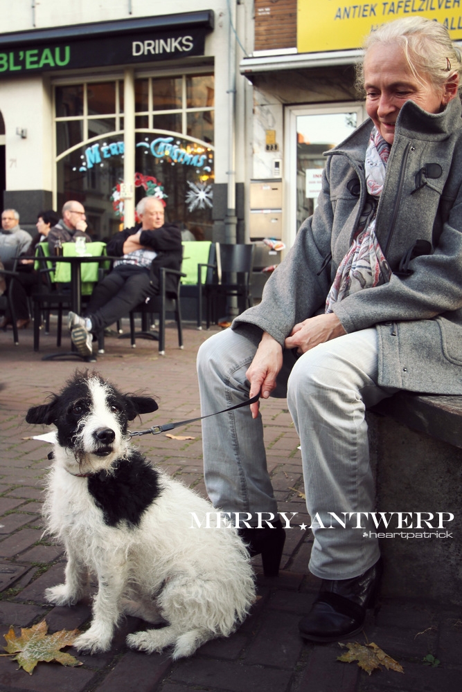 heartpatrick the hague antwerp leiden