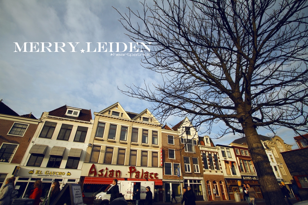 heartpatrick the hague antwerp leiden