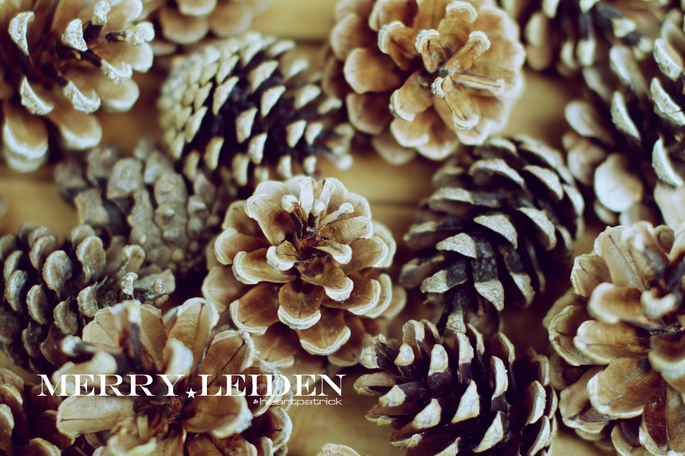 heartpatrick the hague antwerp leiden